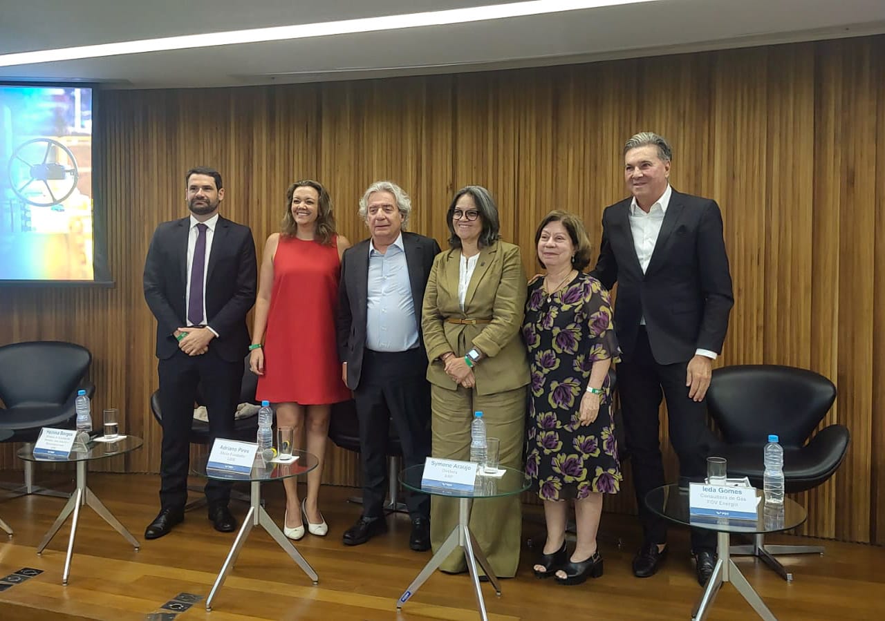 1º Workshop do Programa de Redução da Concentração no Mercado de Gás Natural