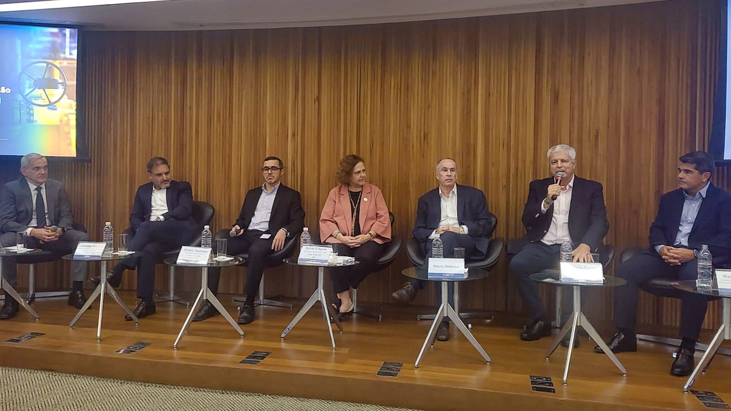 1º Workshop do Programa de Redução da Concentração no Mercado de Gás Natural