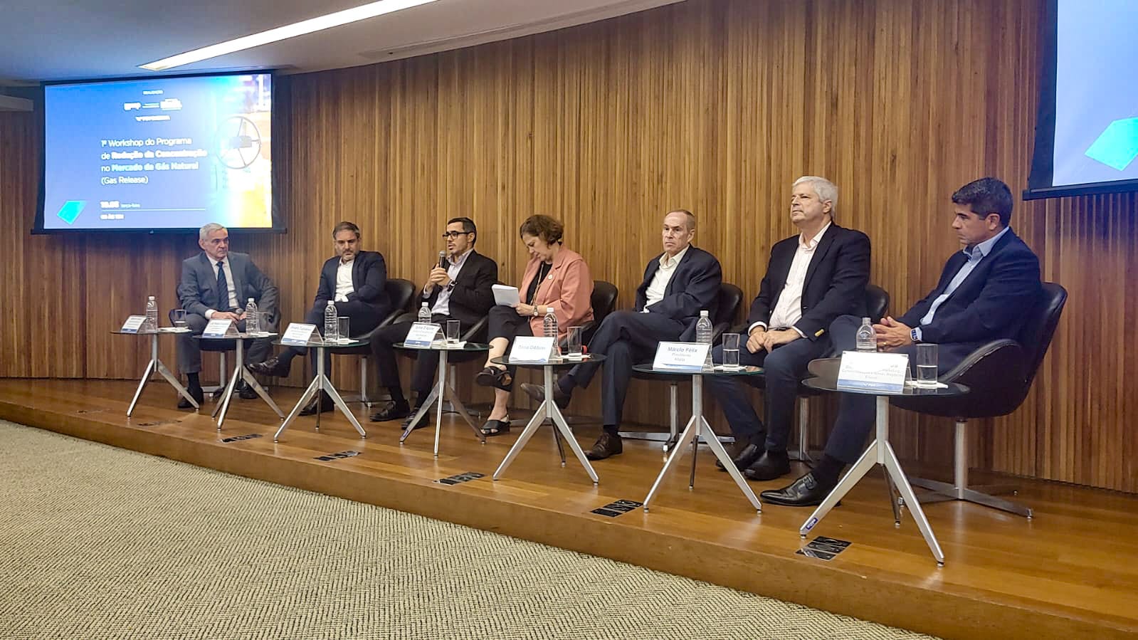 1º Workshop do Programa de Redução da Concentração no Mercado de Gás Natural