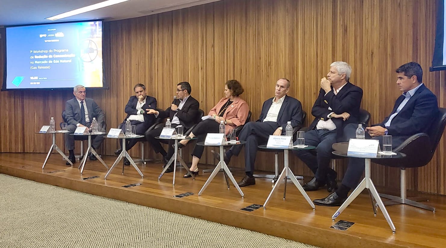 1º Workshop do Programa de Redução da Concentração no Mercado de Gás Natural