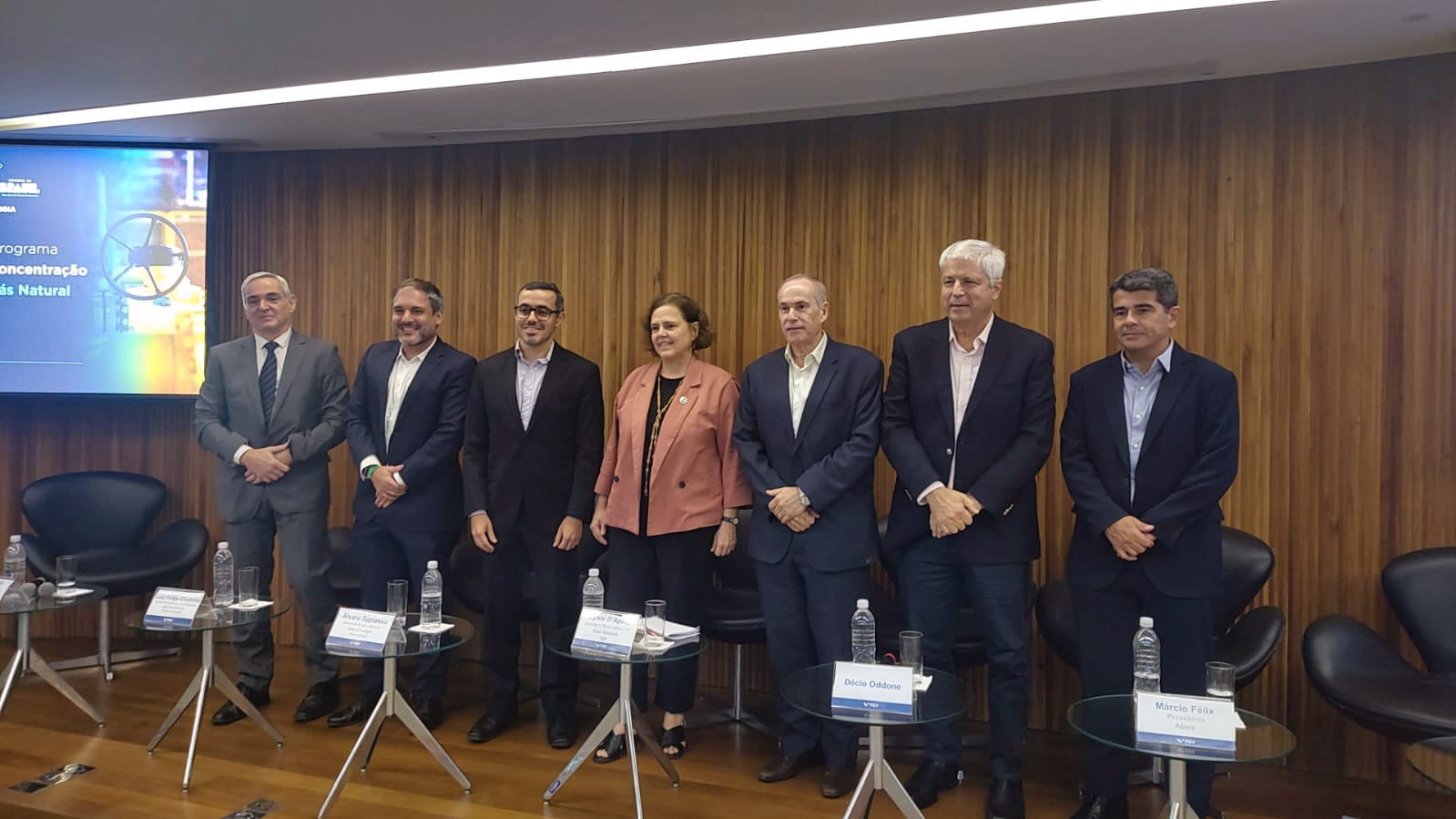 1º Workshop do Programa de Redução da Concentração no Mercado de Gás Natural