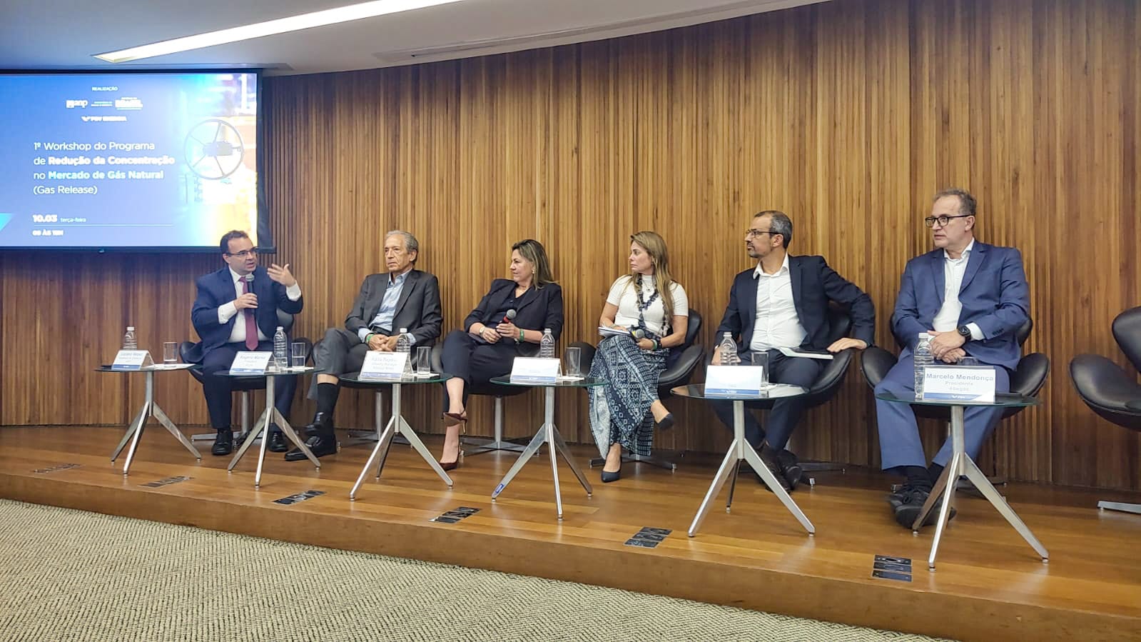 1º Workshop do Programa de Redução da Concentração no Mercado de Gás Natural