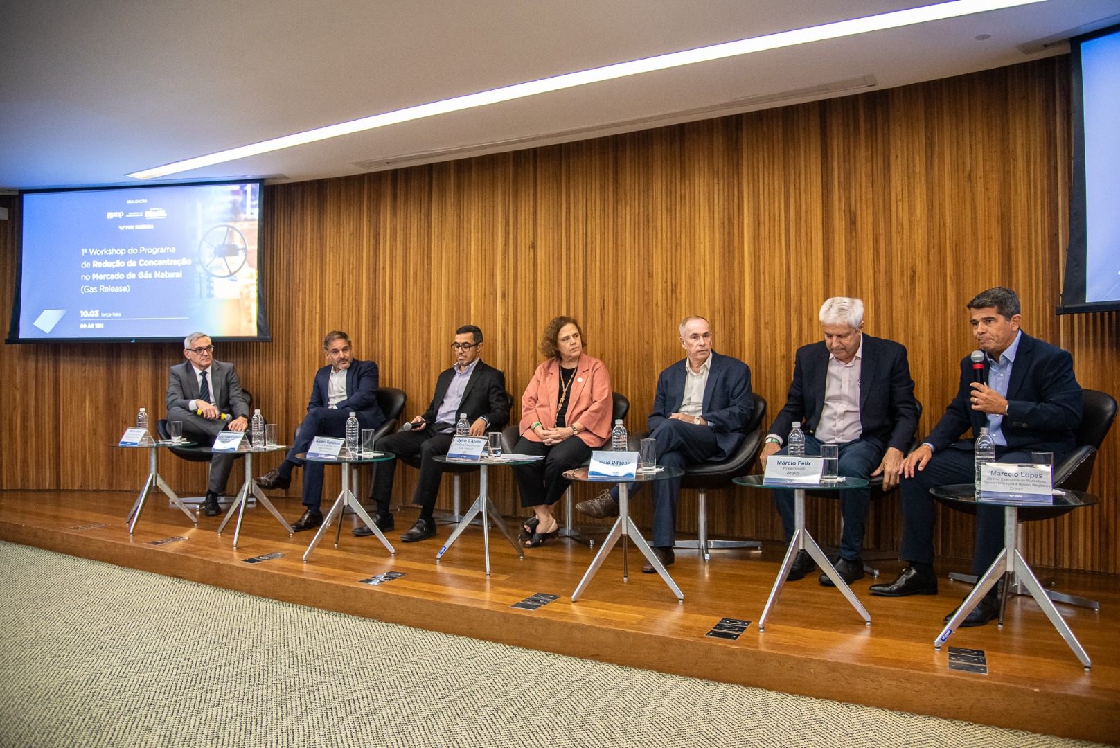 1º Workshop do Programa de Redução da Concentração no Mercado de Gás Natural