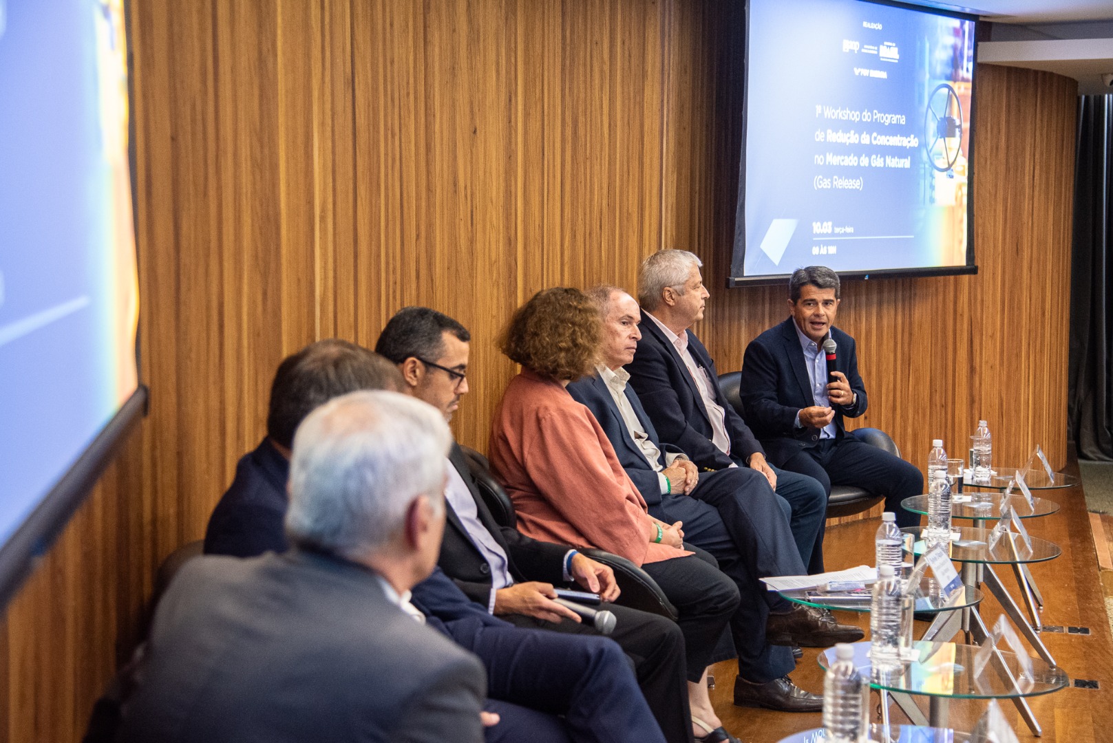 1º Workshop do Programa de Redução da Concentração no Mercado de Gás Natural