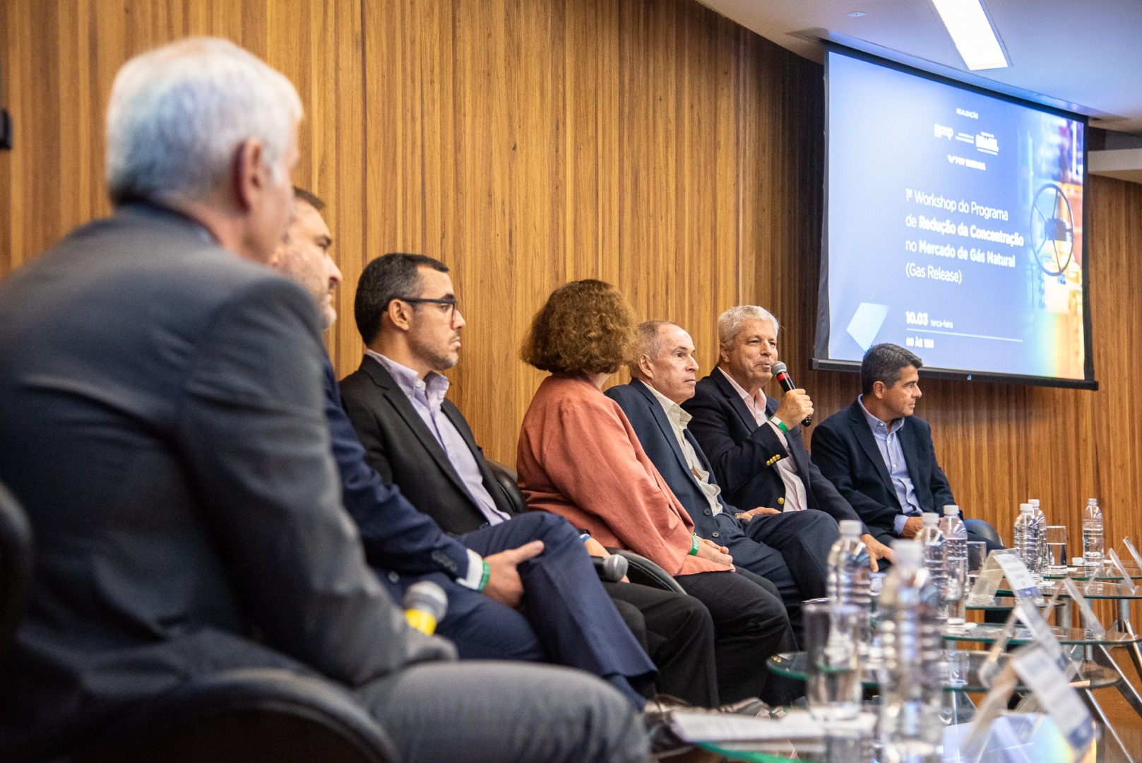1º Workshop do Programa de Redução da Concentração no Mercado de Gás Natural