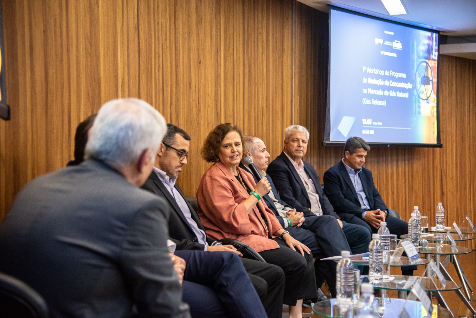 1º Workshop do Programa de Redução da Concentração no Mercado de Gás Natural