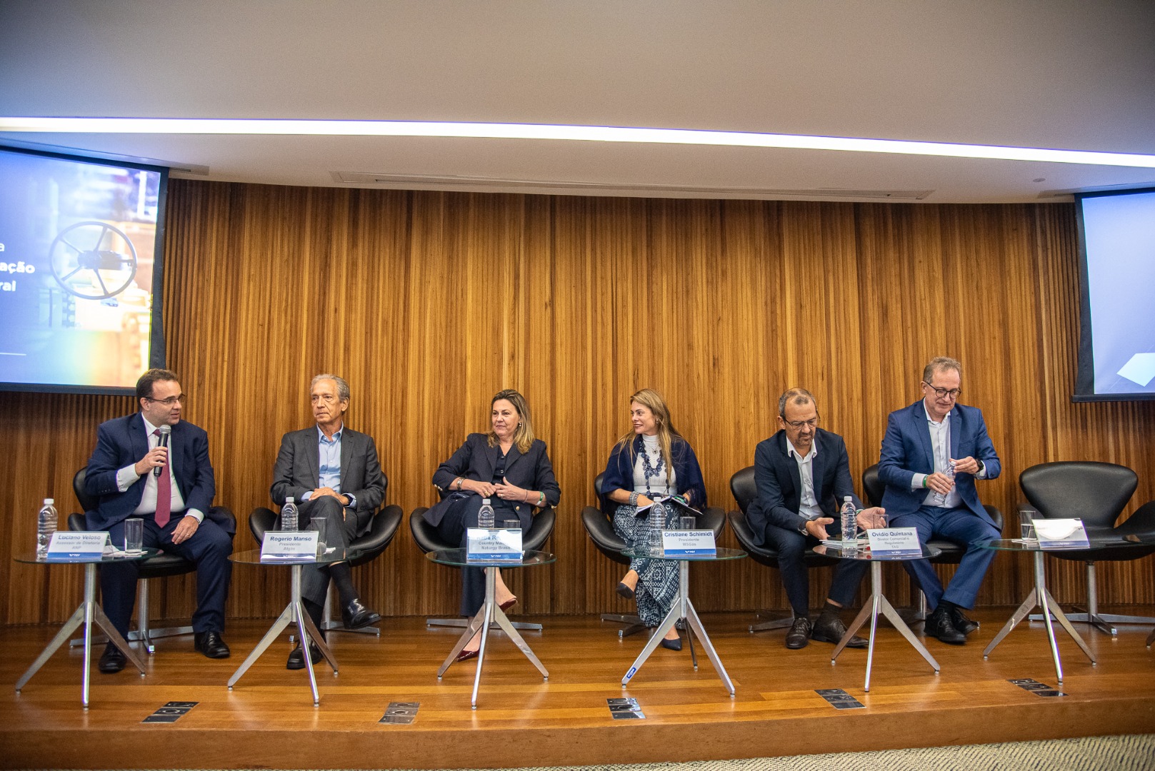 1º Workshop do Programa de Redução da Concentração no Mercado de Gás Natural