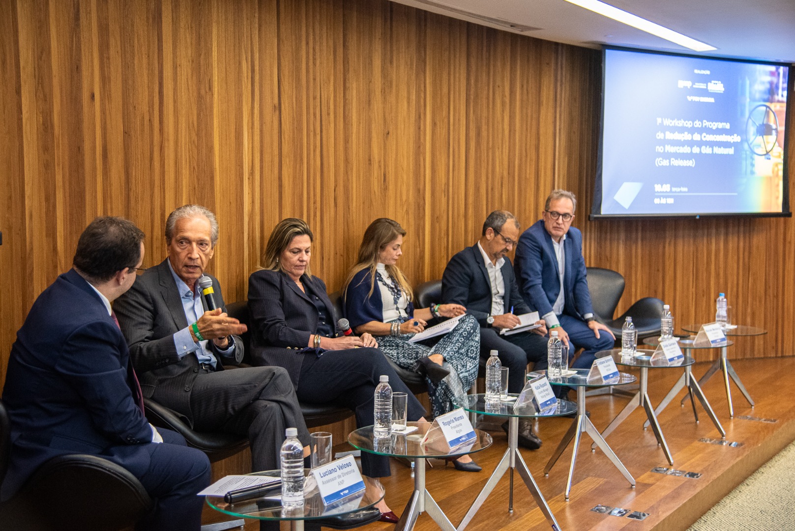 1º Workshop do Programa de Redução da Concentração no Mercado de Gás Natural
