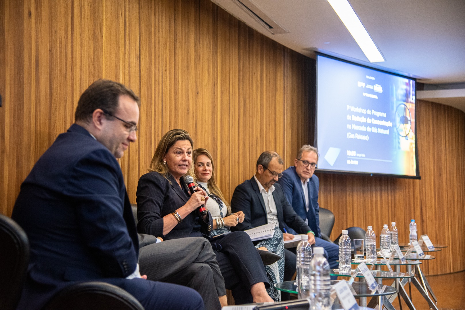 1º Workshop do Programa de Redução da Concentração no Mercado de Gás Natural