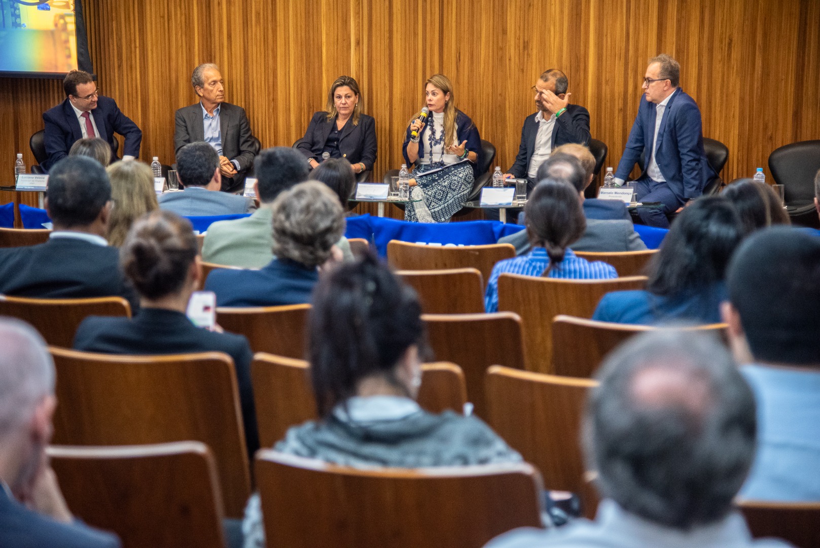 1º Workshop do Programa de Redução da Concentração no Mercado de Gás Natural