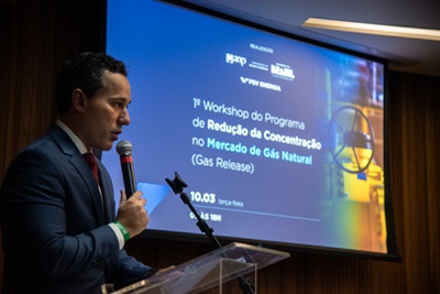 1º Workshop do Programa de Redução da Concentração no Mercado de Gás Natural