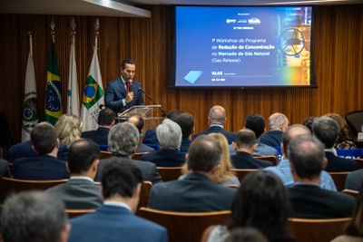 1º Workshop do Programa de Redução da Concentração no Mercado de Gás Natural