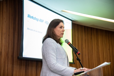1º Workshop do Programa de Redução da Concentração no Mercado de Gás Natural