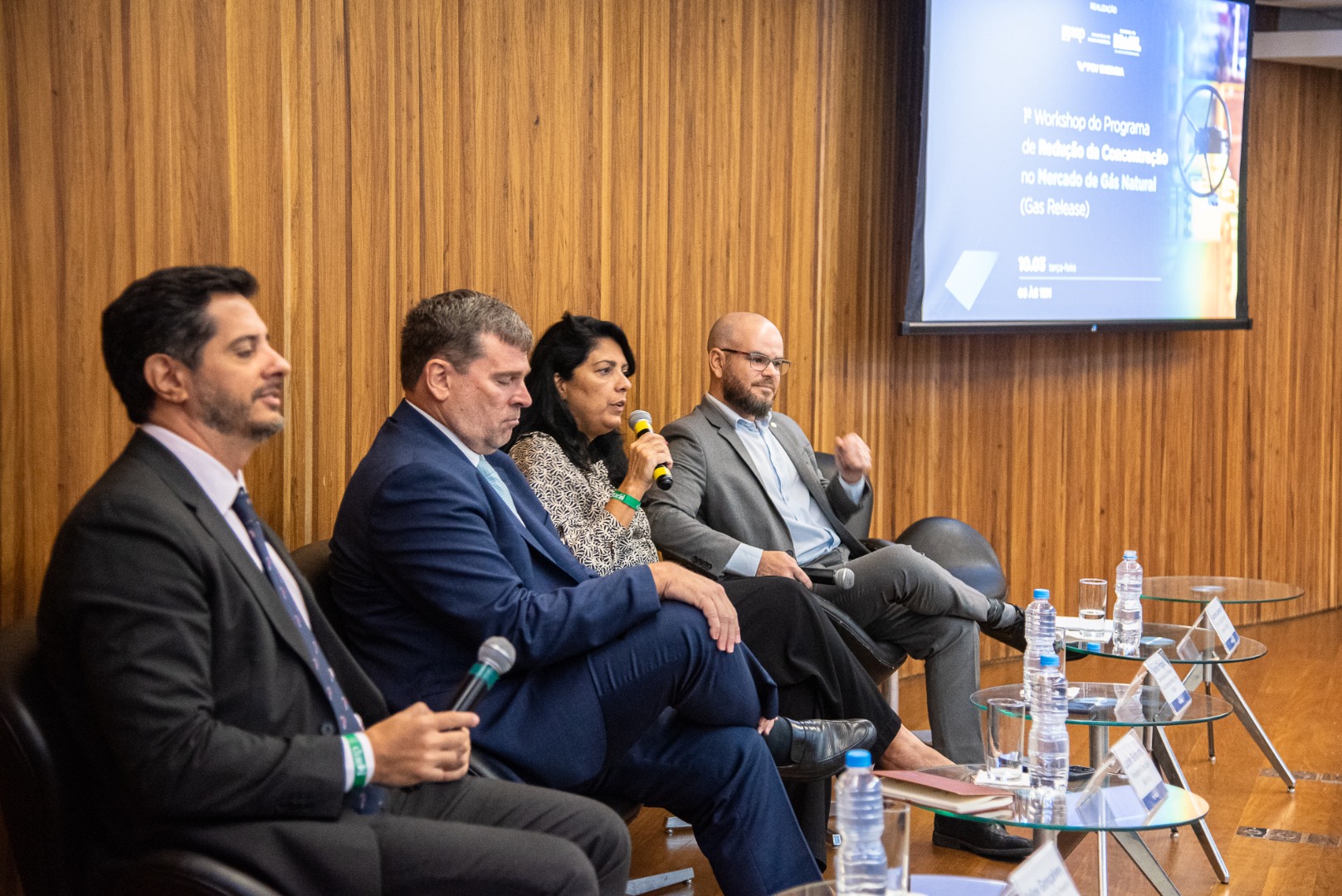 1º Workshop do Programa de Redução da Concentração no Mercado de Gás Natural