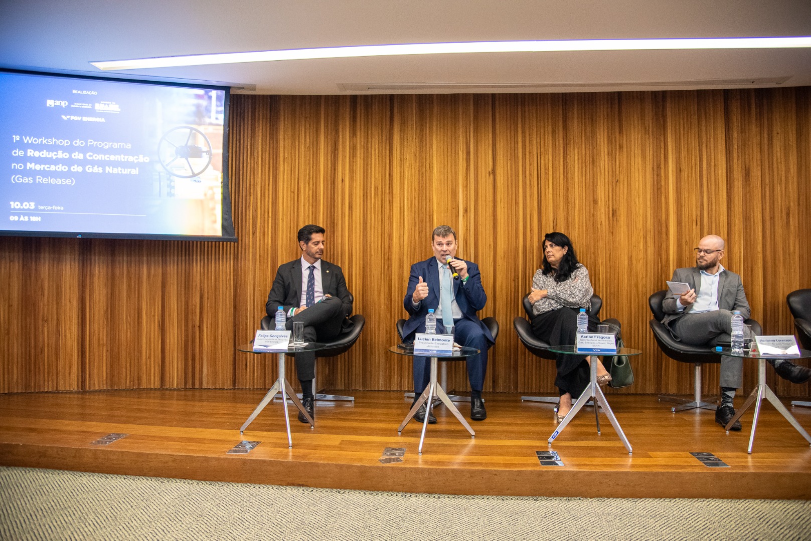 1º Workshop do Programa de Redução da Concentração no Mercado de Gás Natural