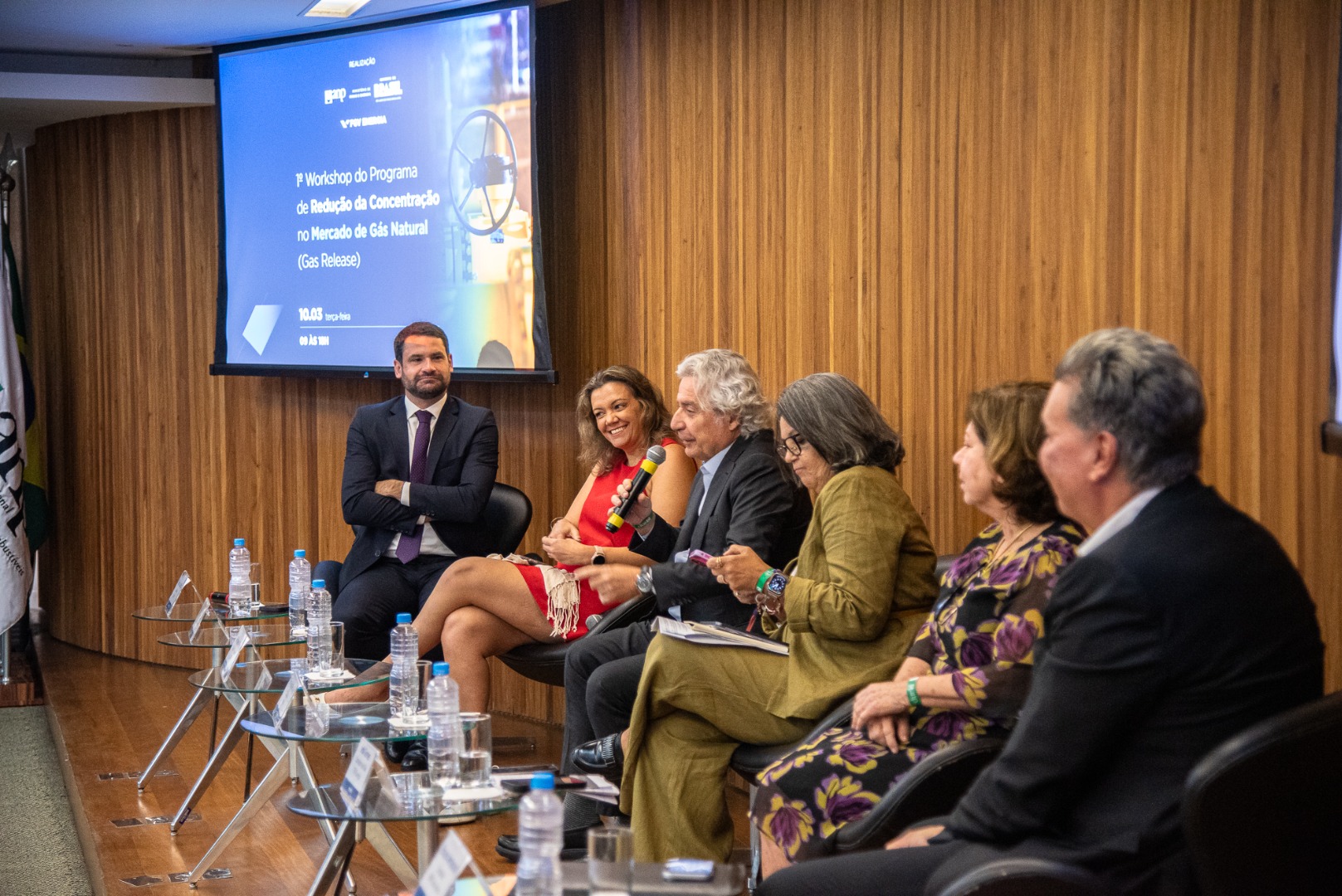 1º Workshop do Programa de Redução da Concentração no Mercado de Gás Natural