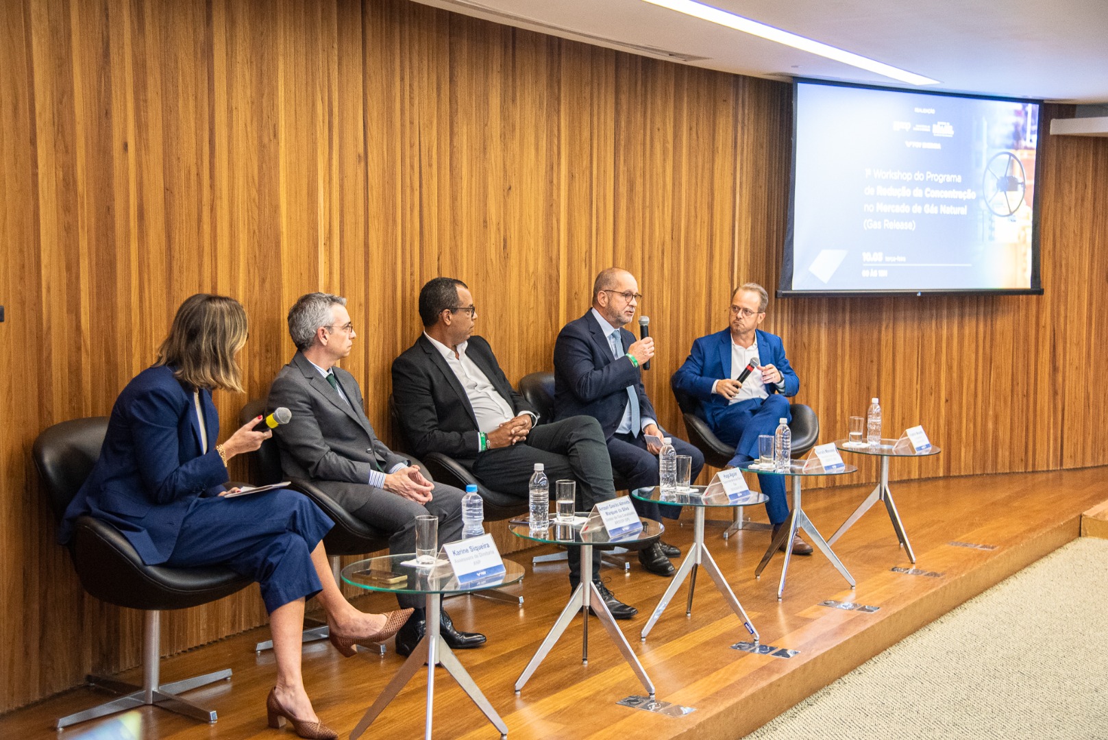1º Workshop do Programa de Redução da Concentração no Mercado de Gás Natural