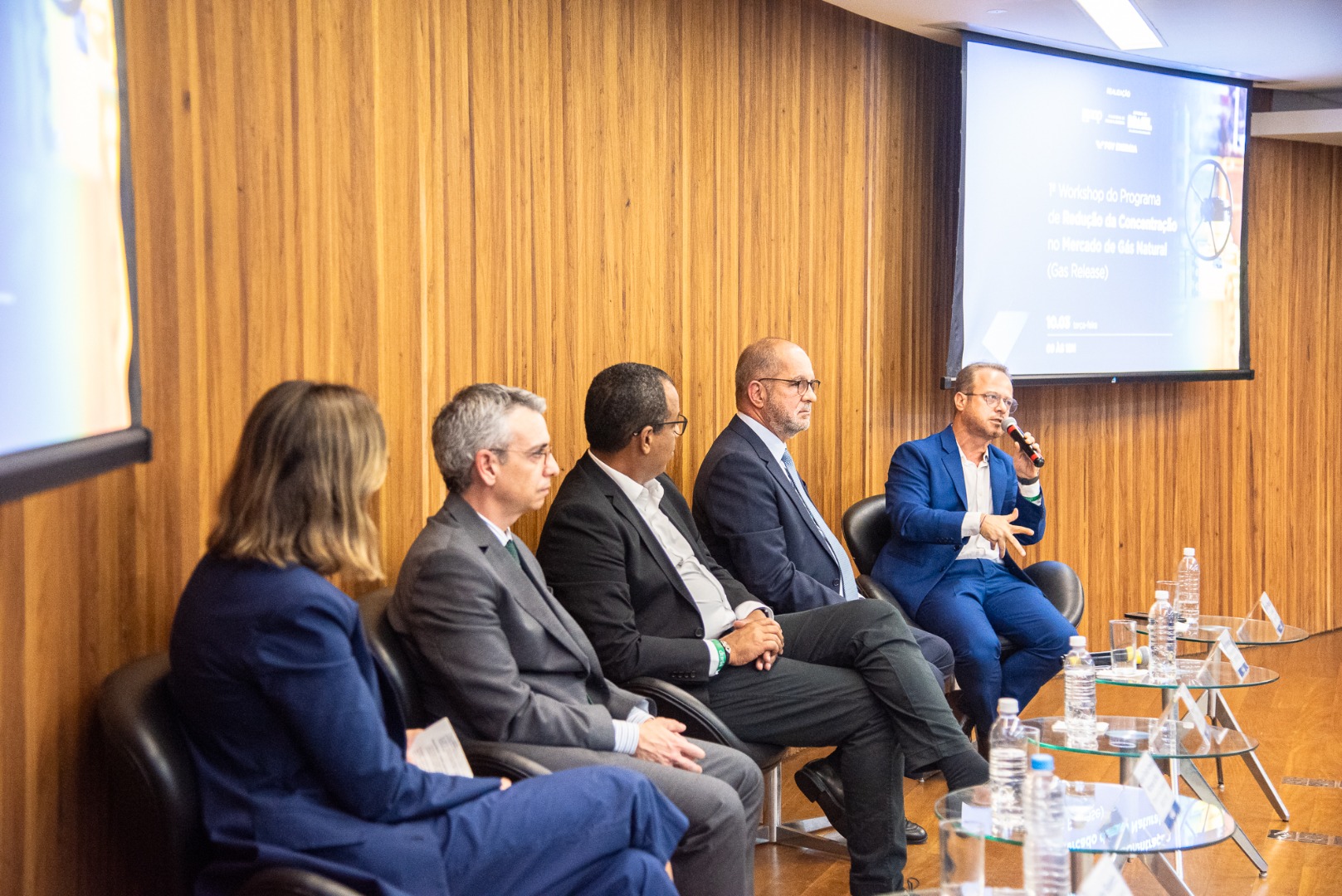1º Workshop do Programa de Redução da Concentração no Mercado de Gás Natural