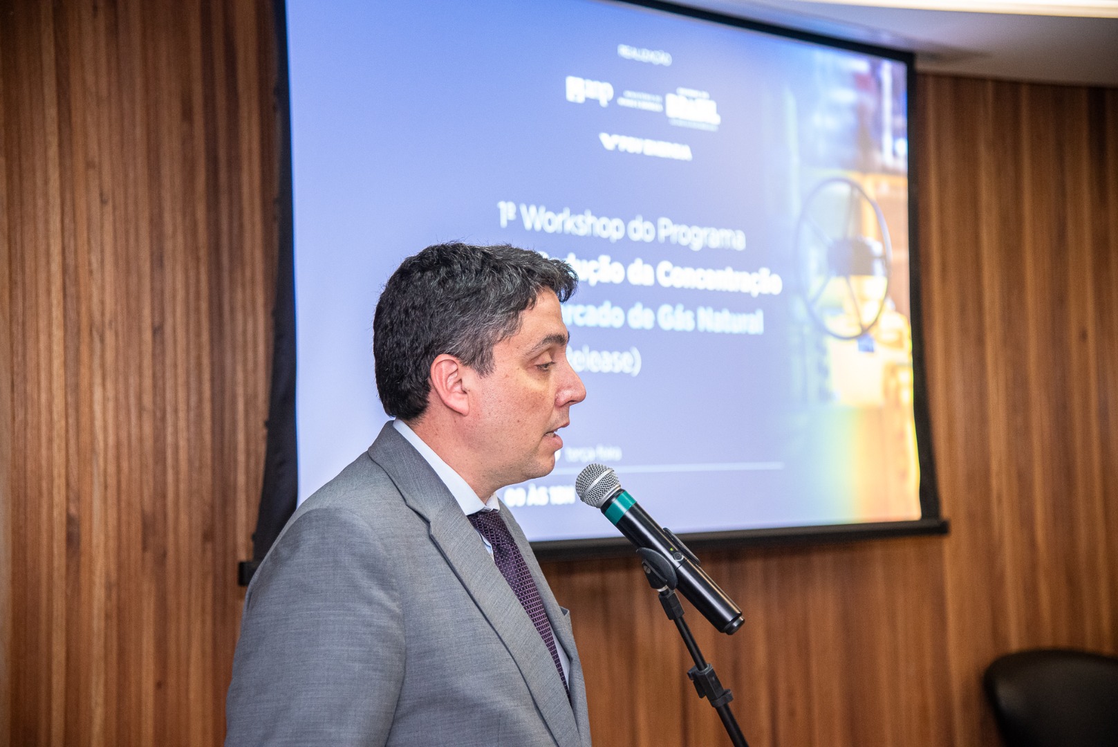 1º Workshop do Programa de Redução da Concentração no Mercado de Gás Natural