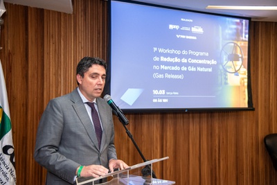 1º Workshop do Programa de Redução da Concentração no Mercado de Gás Natural