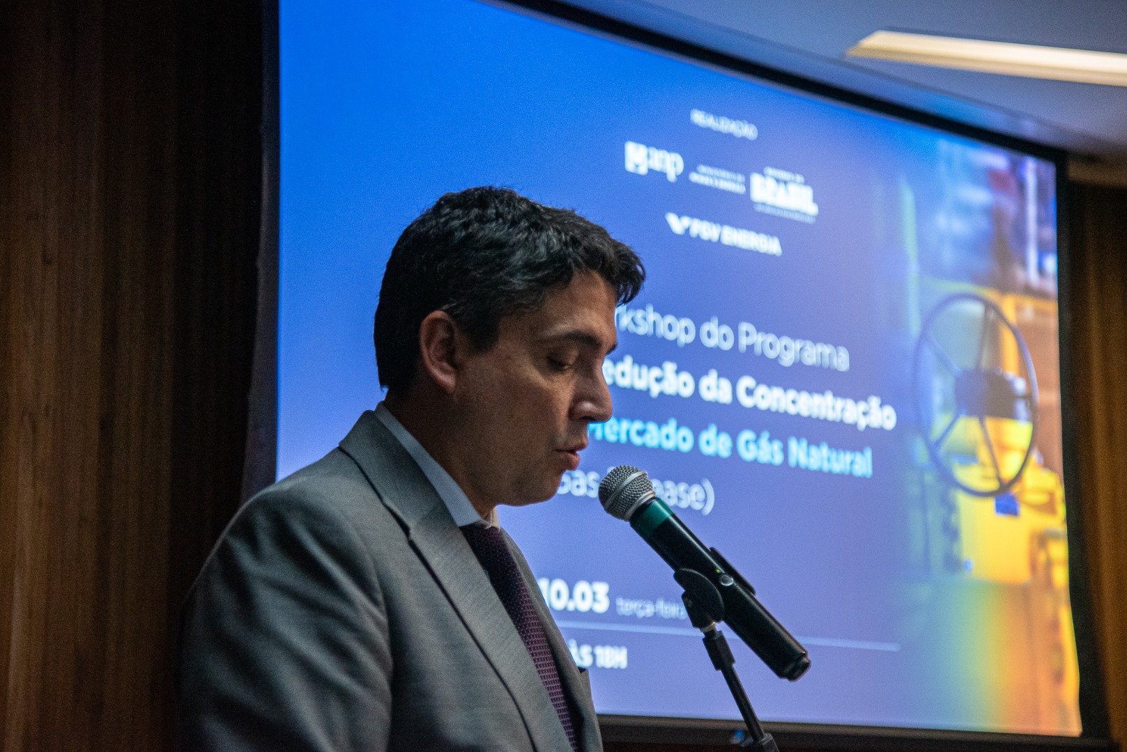 1º Workshop do Programa de Redução da Concentração no Mercado de Gás Natural