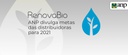 2021.03.30-renovabio-metas-21.jpg