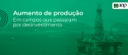 2022.04.07-aumento-de-producao.jpg