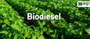 2022.09.15-importacao-biodiesel.png