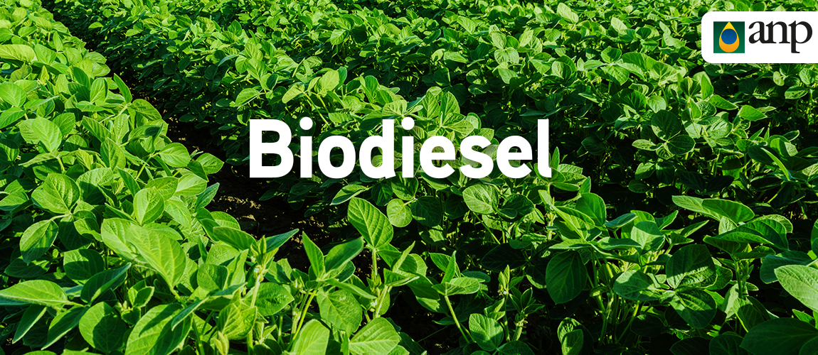 2022.09.15-importacao-biodiesel.png