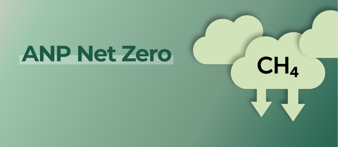 2025-02-05-workshop-anp-net-zero.png
