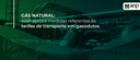 2025.11.06-gn-gasodutos.png
