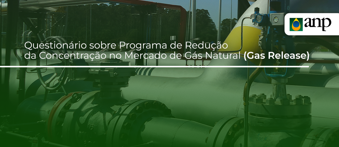 2026-03-questionario-gas-natural.png
