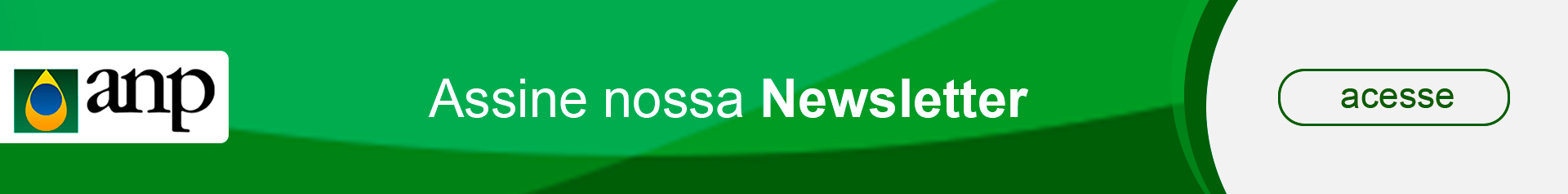 banners-anp-newsletter-verde.jpg