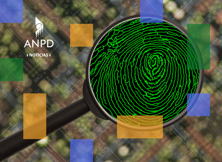 Site Proc Fiscalização.png