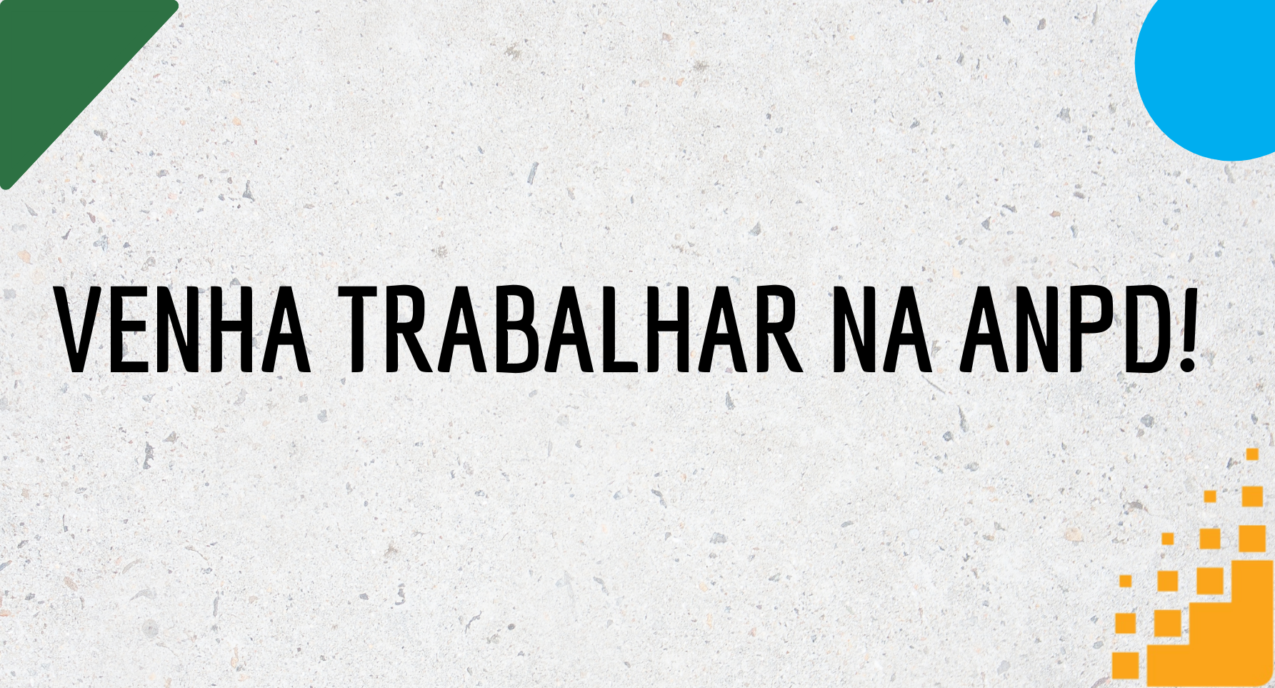 trabalhe conosco anpd(1).png