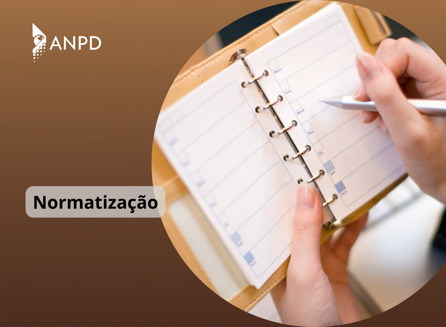 Site Agenda Regulatória 2023-2024.png