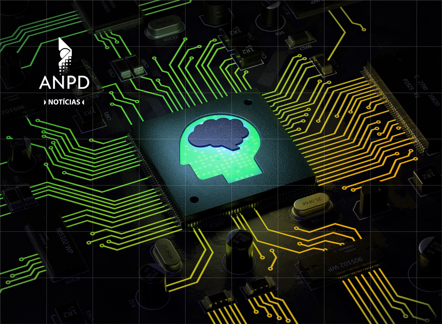 img_portal_materia_estudo_preliminar_pl2338.png