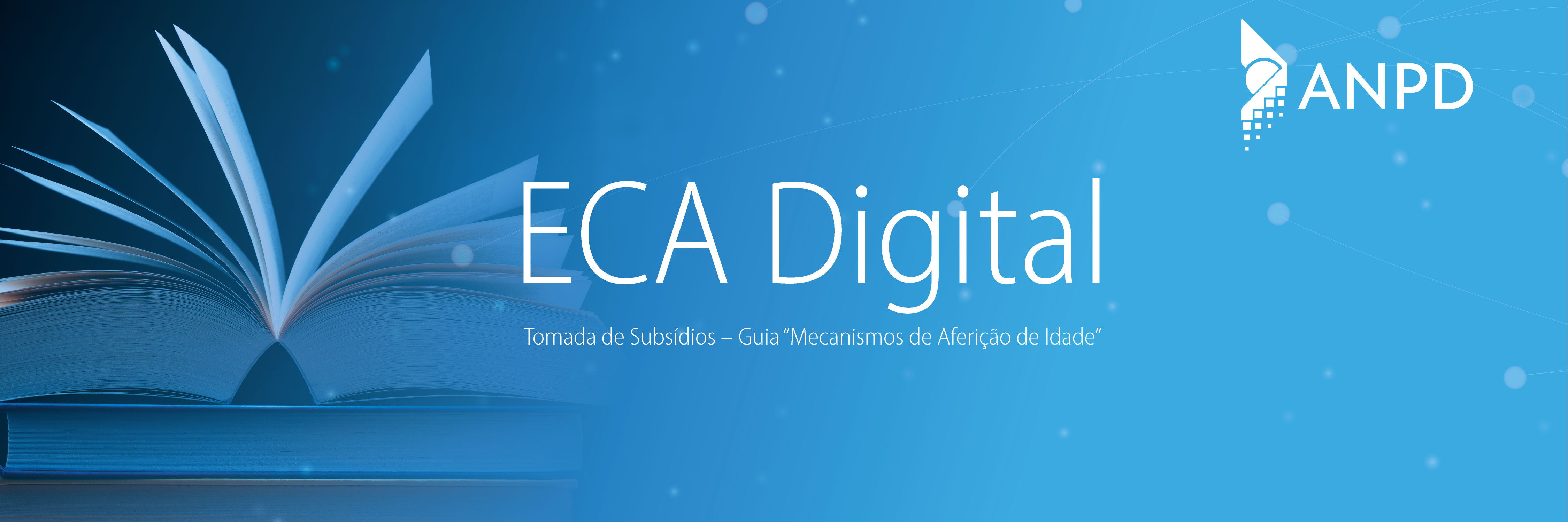carrossel-Tomada-de-Subsídio-Mecanismos-de-Aferição-de-Idade-[Recuperado].jpg
