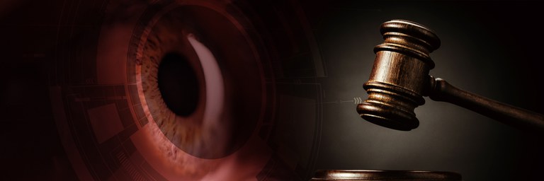 carrossel - leitura de iris - world coin - medida cautelar mantida.jpg