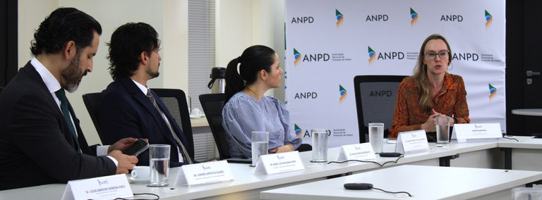 Carrossel Miriam Wimmer.jpg