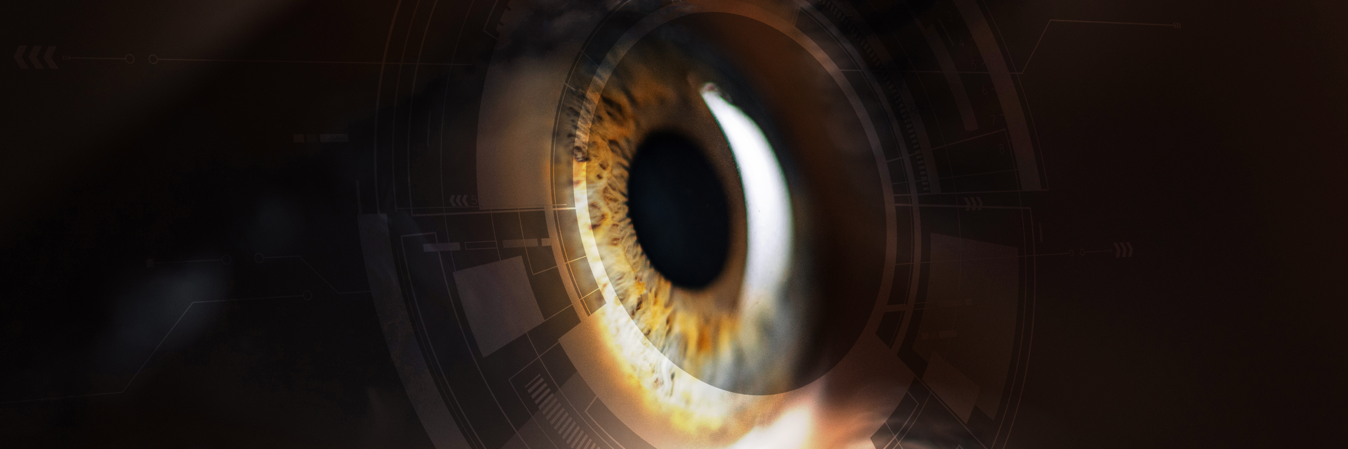 carrossel - leitura de iris worldcoin.png