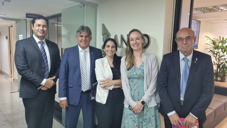 reunião estela aranha