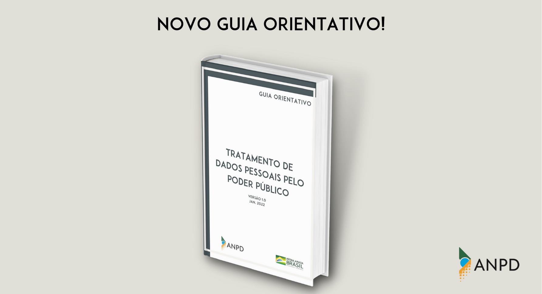 Novo guia poder publico imagem para o site(1).png