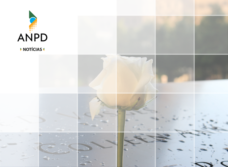 Site NT Pessoas Falecidas.png