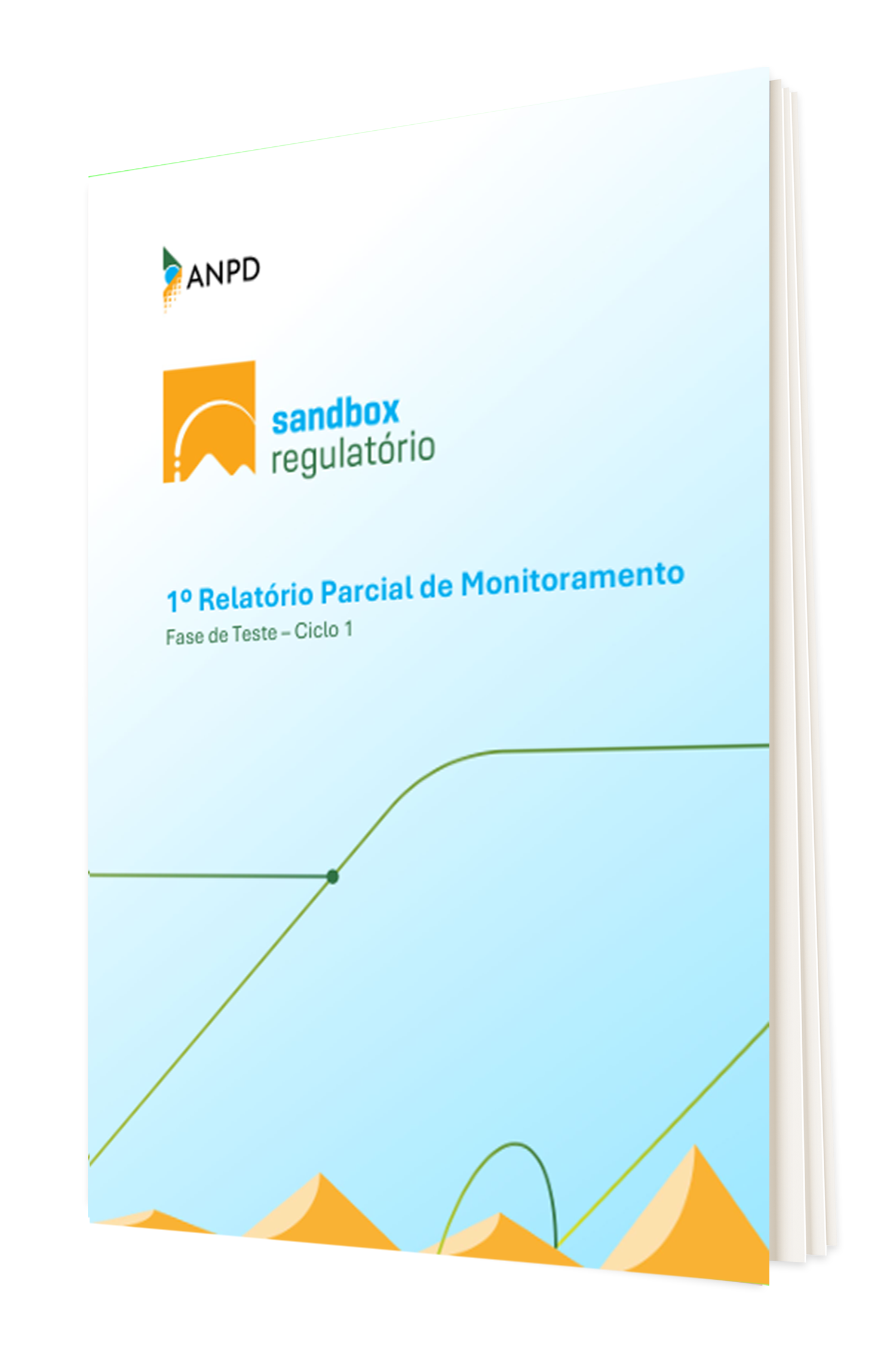 mockup relatório parcial