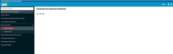 Peticionamento processo novo