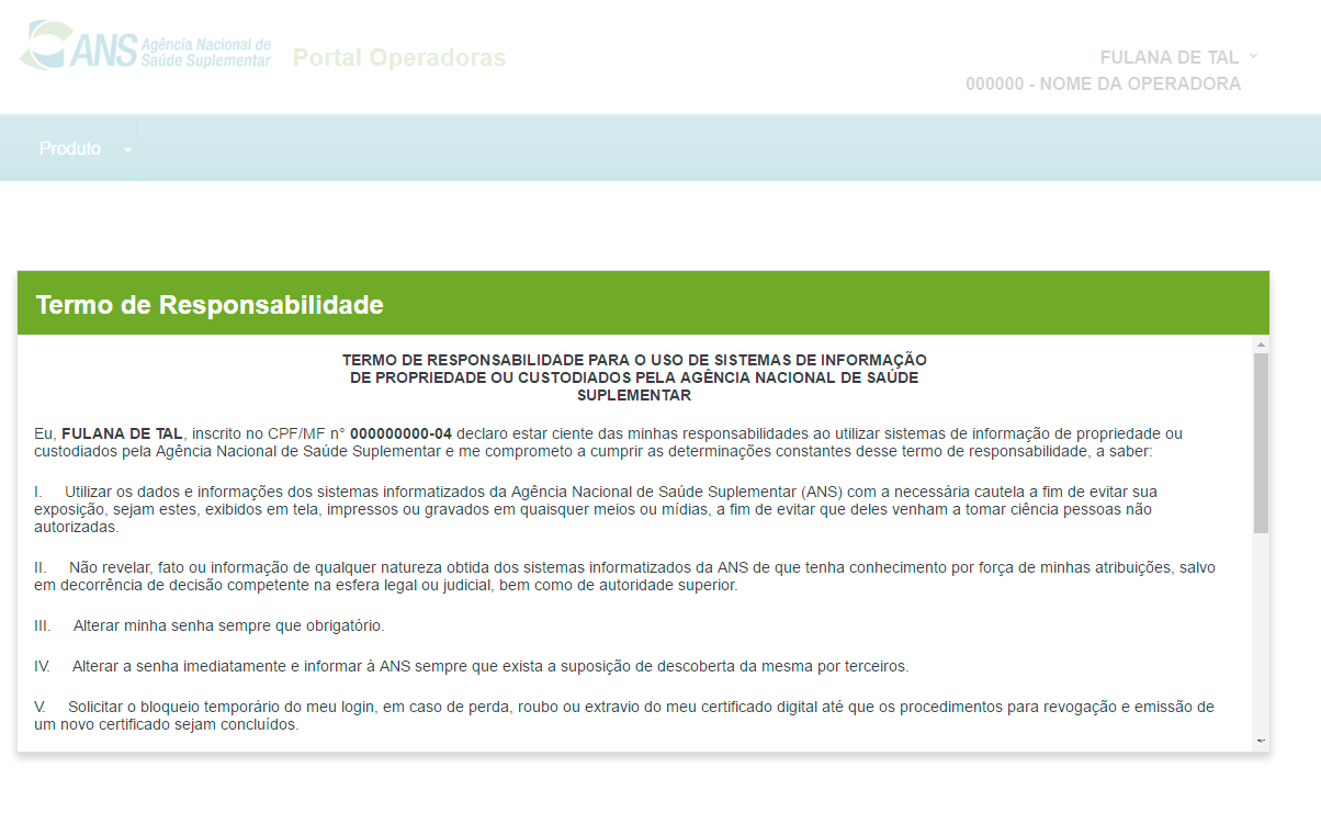 Tela descrevendo o termo de responsabilidade.