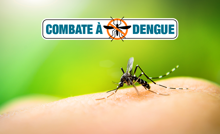 ANS reforça orientações sobre prevenção à dengue e importância do uso dos protocolos do Ministério da Saúde pelas operadoras de planos de saúde