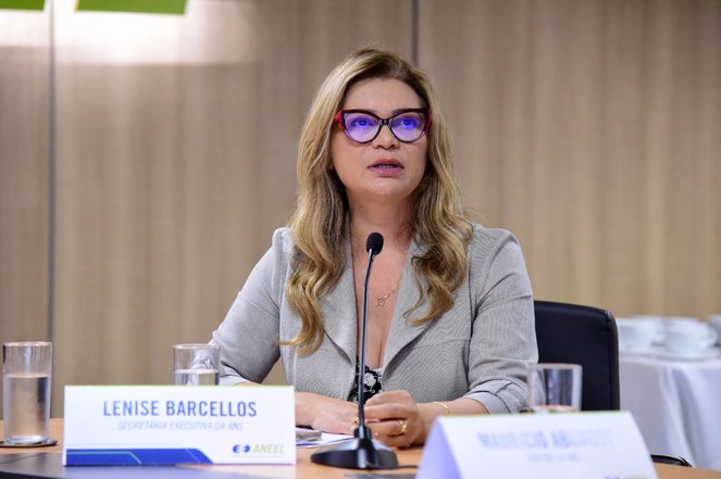 Secretária-executiva da ANS, Lenise Secchin, na reunião do novo Comitê