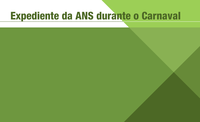Funcionamento da ANS durante o Carnaval